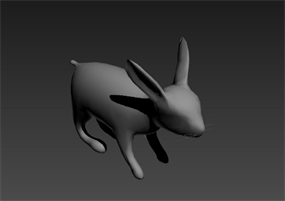 小白兔动物模型